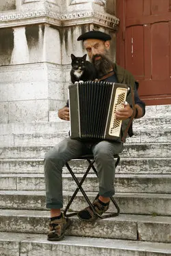 A man plays the accordion. A cat sits on top of it. Both are staring into the distance.