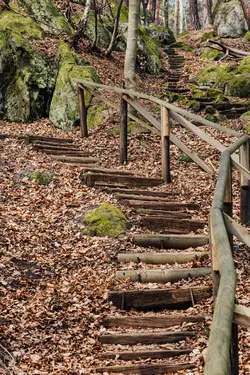 Wooden stairs with handrails in a forest. Brown leaves and mossy stones are in the background.