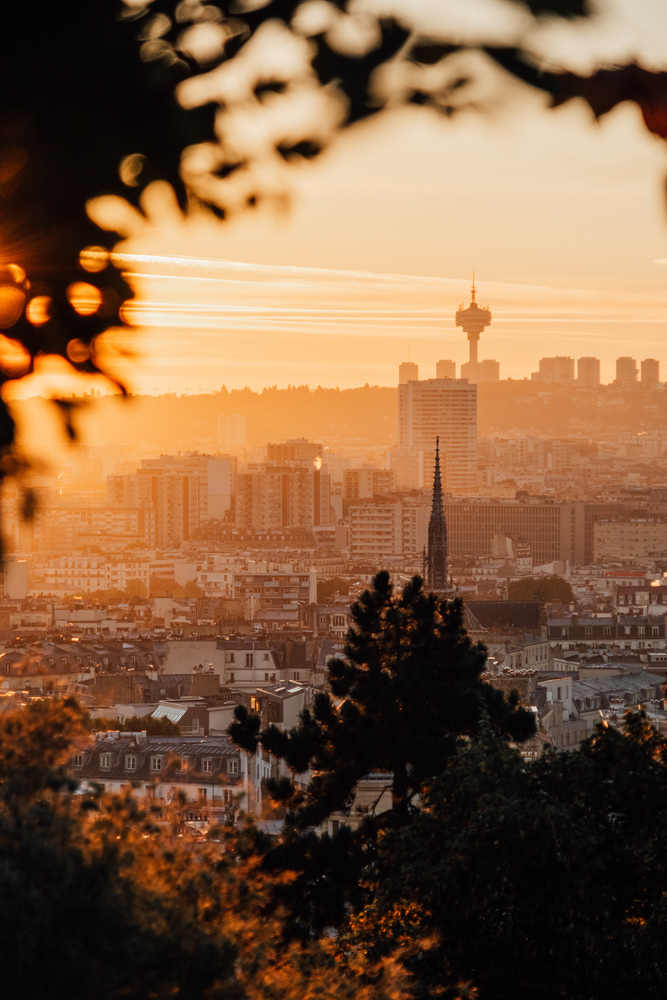 A landscape view of the city of Paris at sunrise. Tree branches in the foreground frame the view.
