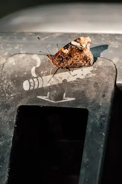 Trash can with a sign of a smoking cigarette pointing to the opening of the trash can. A butterfly sits right at the cigarette sign.