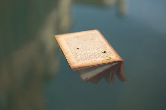 An old booklet floating on the water. One page is above the water, while the rest of the book is underwater.