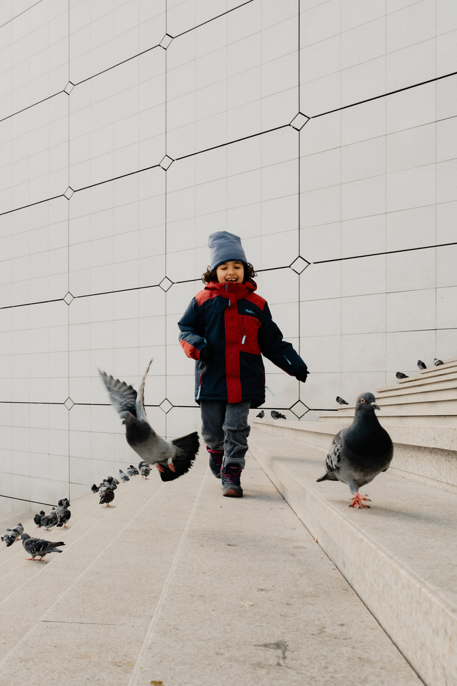 A boy runs on a stair towards the camera. One dove runs away while another one flies away. More doves are in the background.